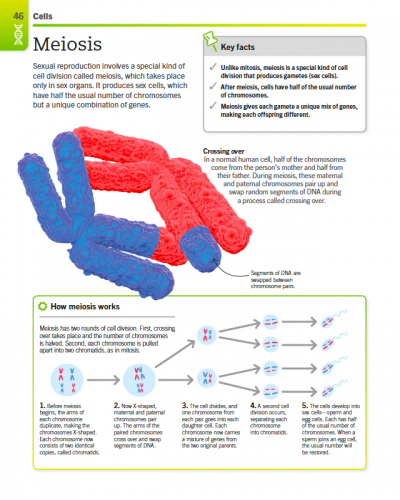 SuperSimple Biology The Ultimate Bitesize Study Guide