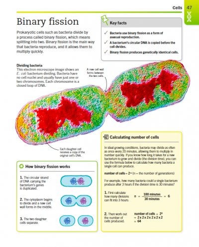 SuperSimple Biology The Ultimate Bitesize Study Guide