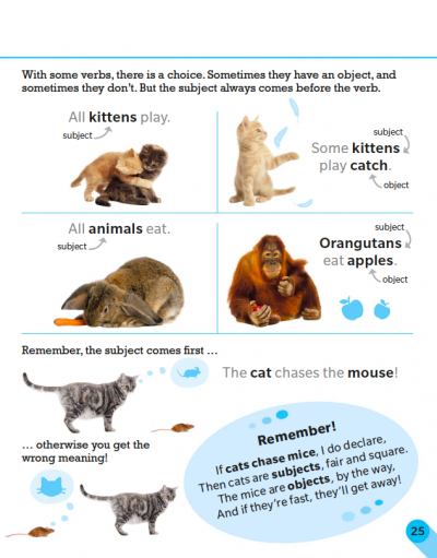 Visual Guide to Grammar and Punctuation