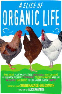 A Slice of Organic Life