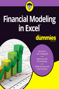 Financial Modeling in Excel for Dummies